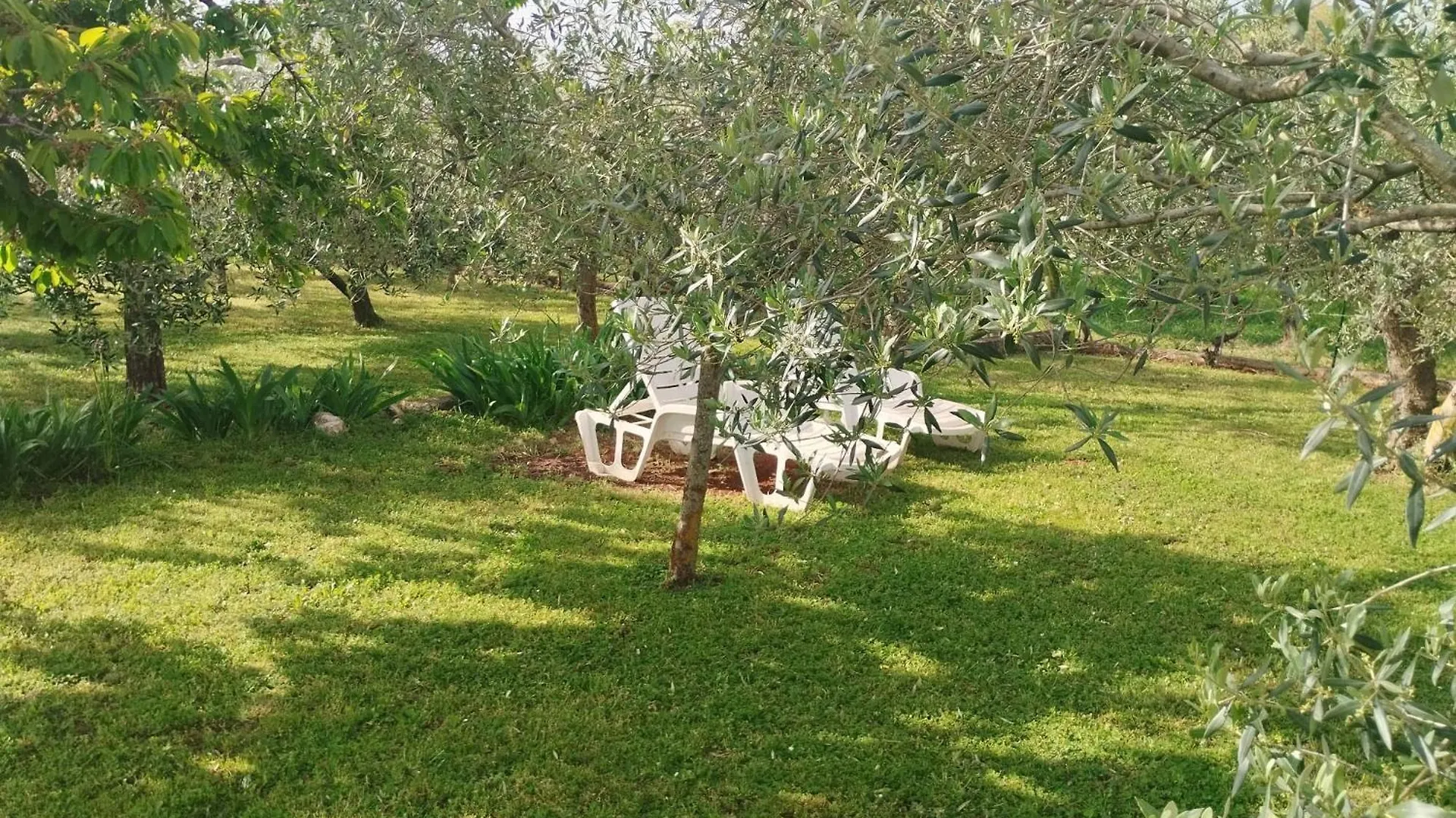 Σπίτι διακοπών Holiday House Πούλα